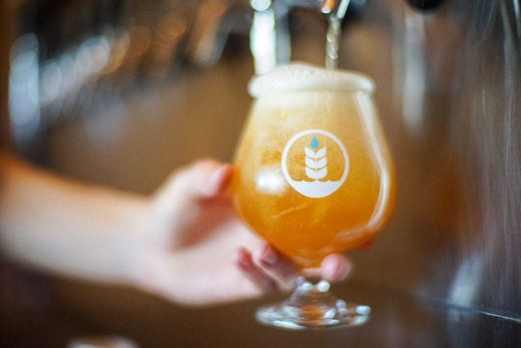 Everyday California IPA